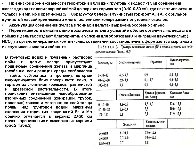 При низкой дренированности территории и близких грунтовых водах (1-1.5 м) соединения железа доходят с